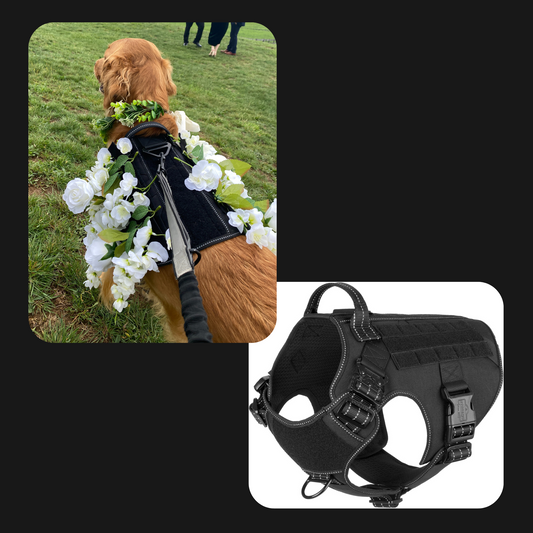 Dog Flower Girl Package - Harness plus Flower Attachment