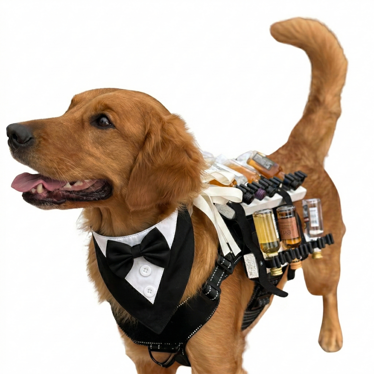 Premium Dog Tuxedo Bandana and Bow Tie - Rental