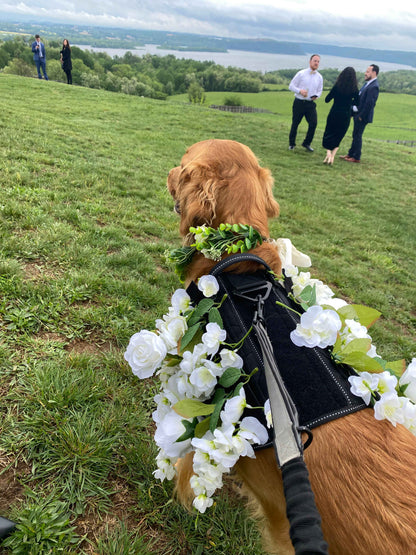 The Ultimate Wedding Dog Bundle: Solo Shooter Saddle BARKtender Dog Shot Harness (24 shooters) + Flower Girl & Ring Bearer Attachments