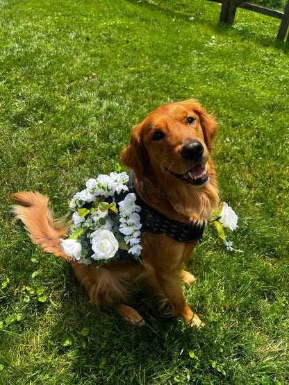 The Ultimate Wedding Dog Bundle: Solo Shooter Saddle BARKtender Dog Shot Harness (24 shooters) + Flower Girl & Ring Bearer Attachments