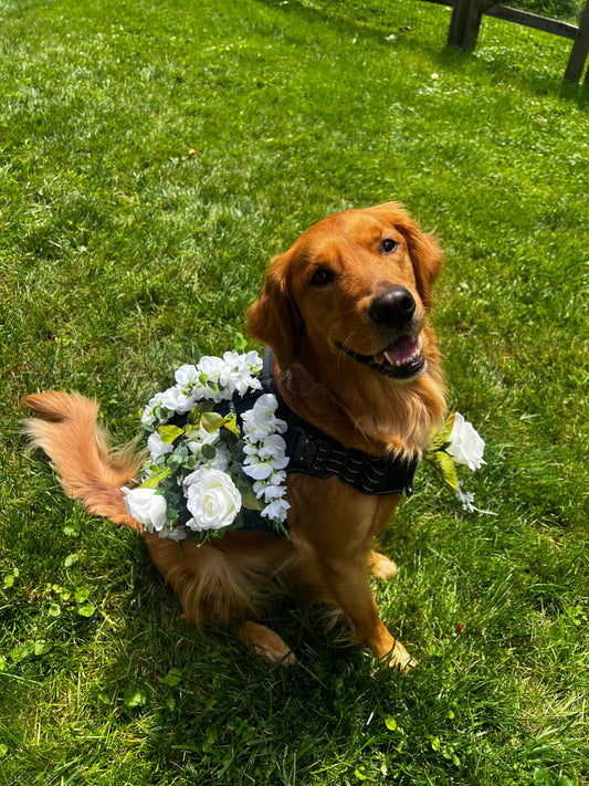 Dog Flower Girl Attachment for Harness