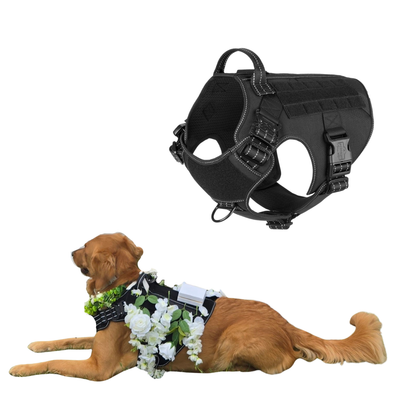Dog wearing both the Ring Bearer and Flower Girl attachments on the Solo Shot Saddle, with white roses and greenery, perfect for weddings and special events by Solo Saber & Co.
