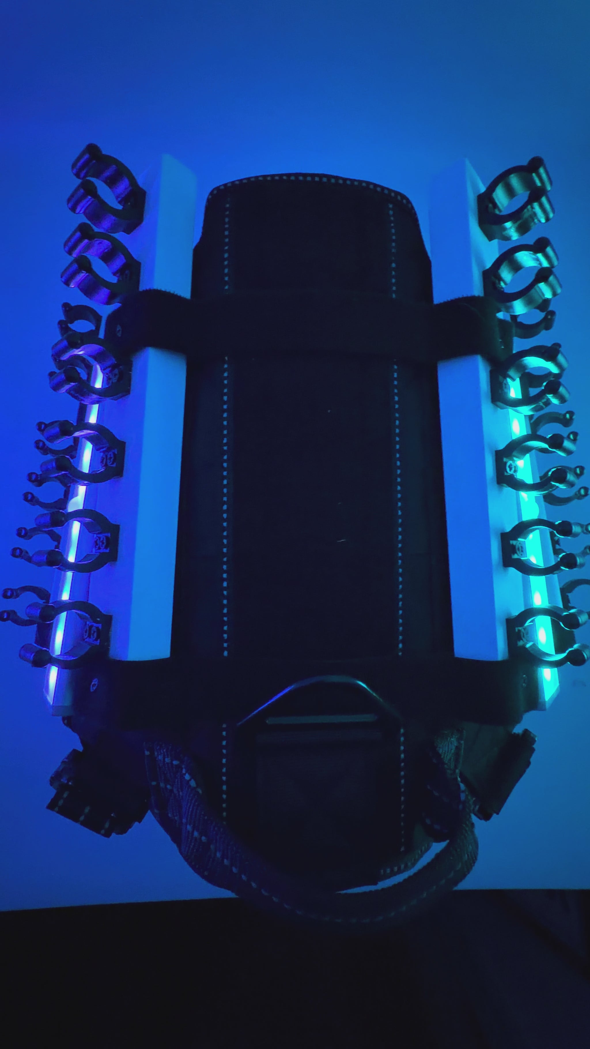 Glowing LED dog harness attachment for nighttime weddings and barktender dogs by Solo Saber & Co.